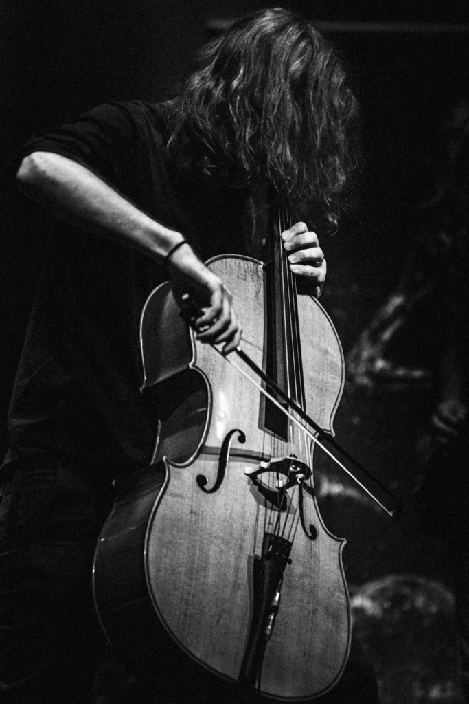 Reportage de festival de nuit — image 25