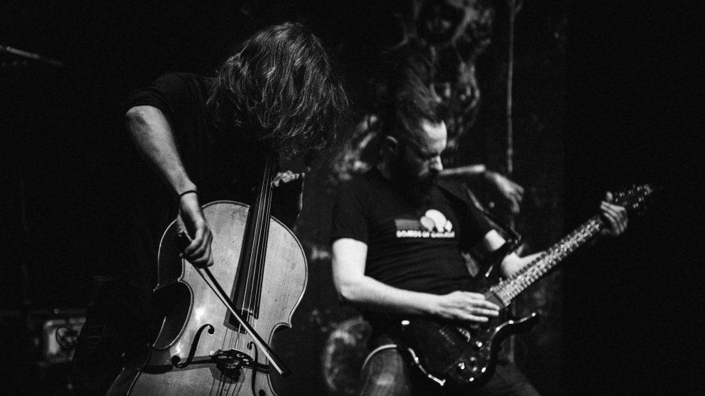 Reportage de festival de nuit — image 26