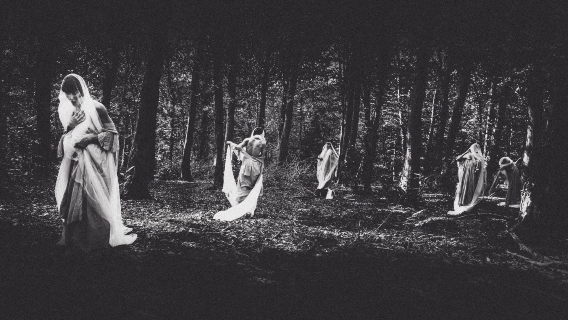 Composition photographique onirique en noir et blanc dans une forêt