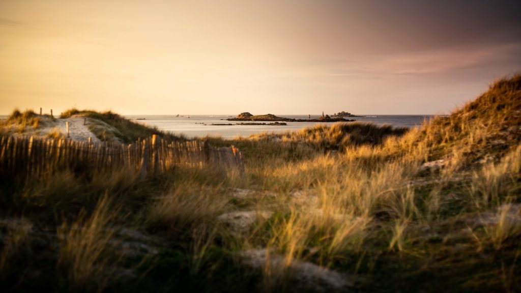 Paysage de Bretagne — image 17