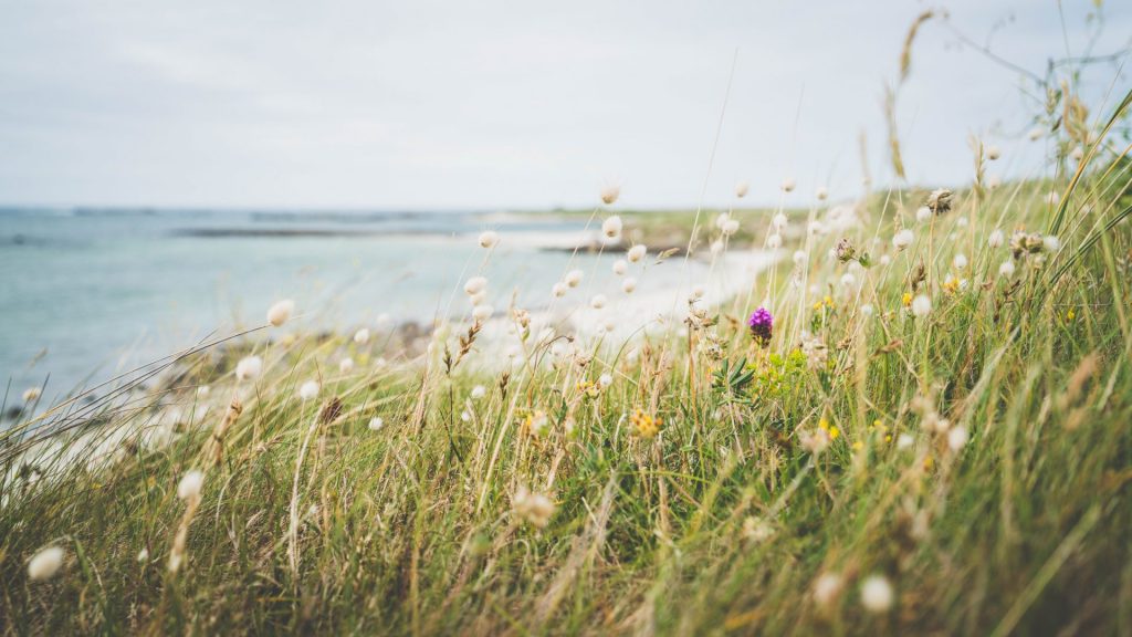 Paysage de Bretagne — image 03